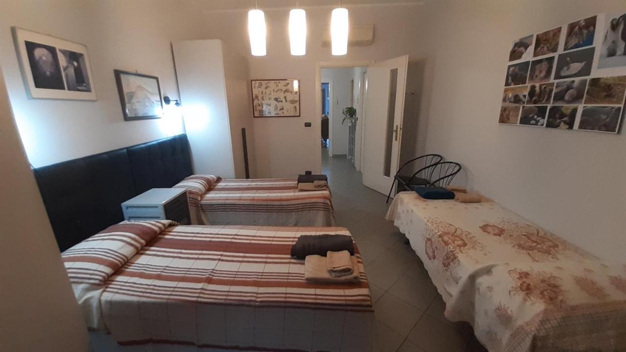 Metronear Apartment Collegno Exterior photo